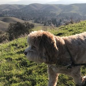 Meet your Posher, Kira